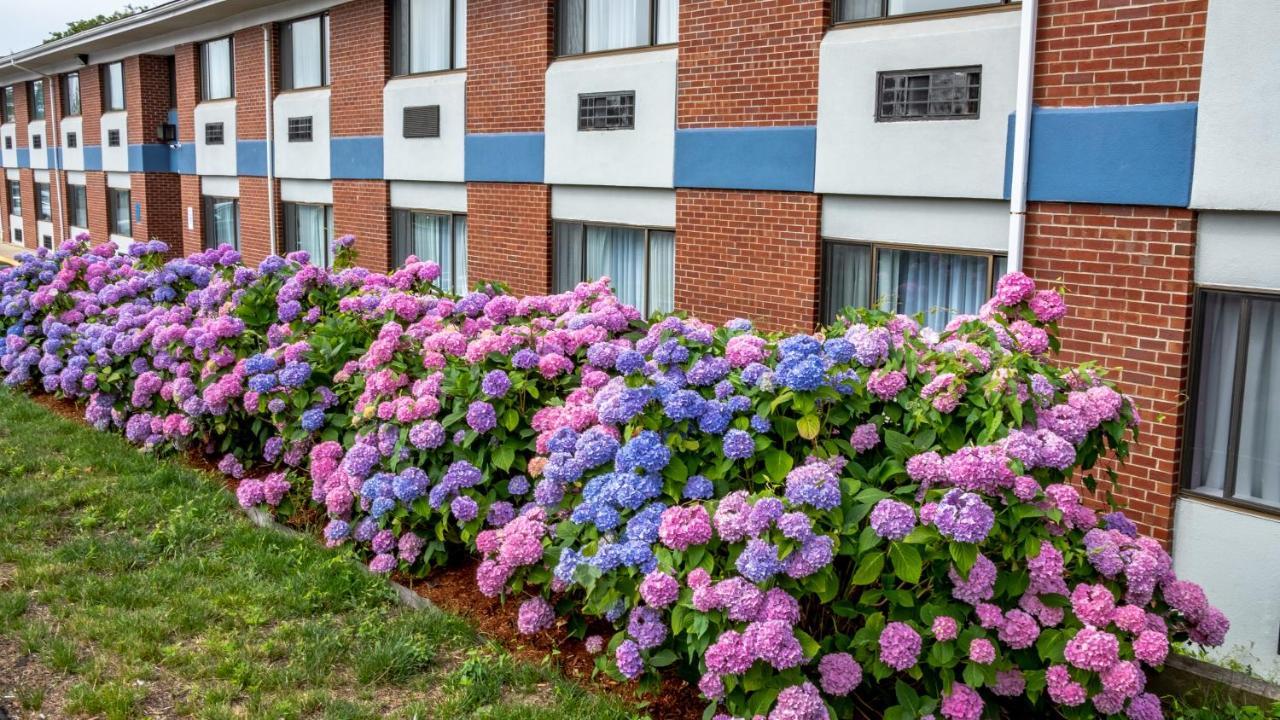 Hyannis Plaza Hotel Exterior foto